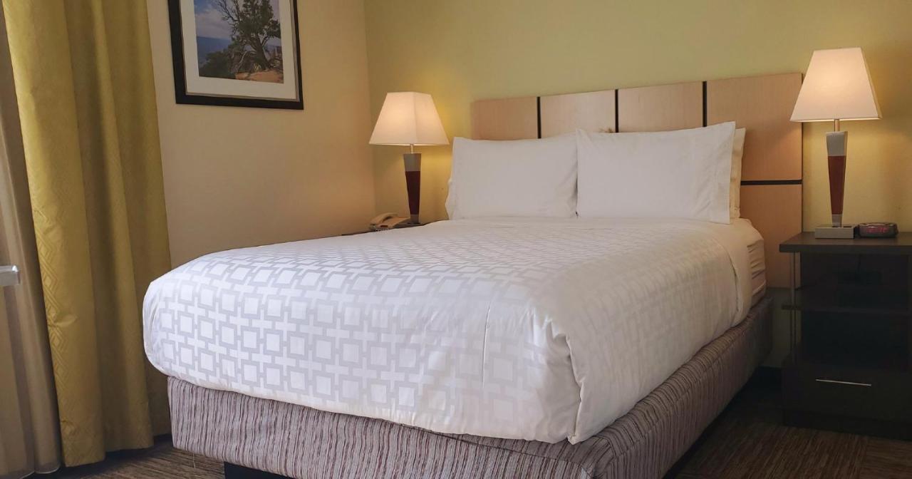 Candlewood Suites Houston Medical Center By Ihg Екстериор снимка